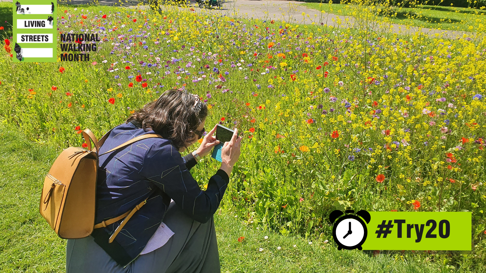 a woman crouches down to take a photo of wildflowers