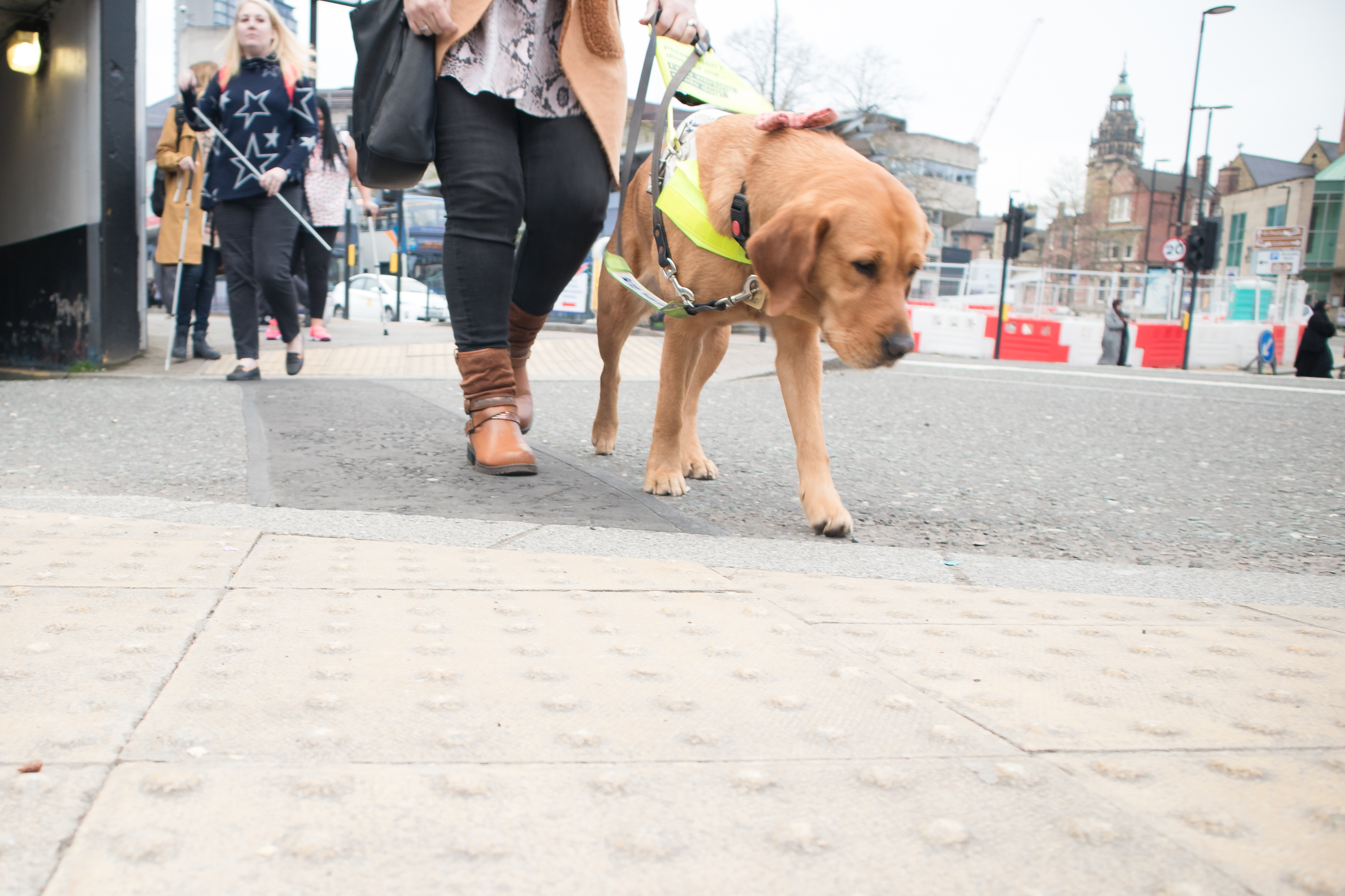 A person crossing at a side road with a guide dog