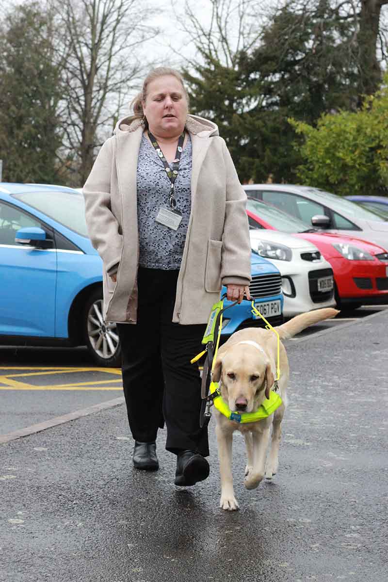 Penny walking through a car park with her guide dog